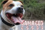 Damaged Goods